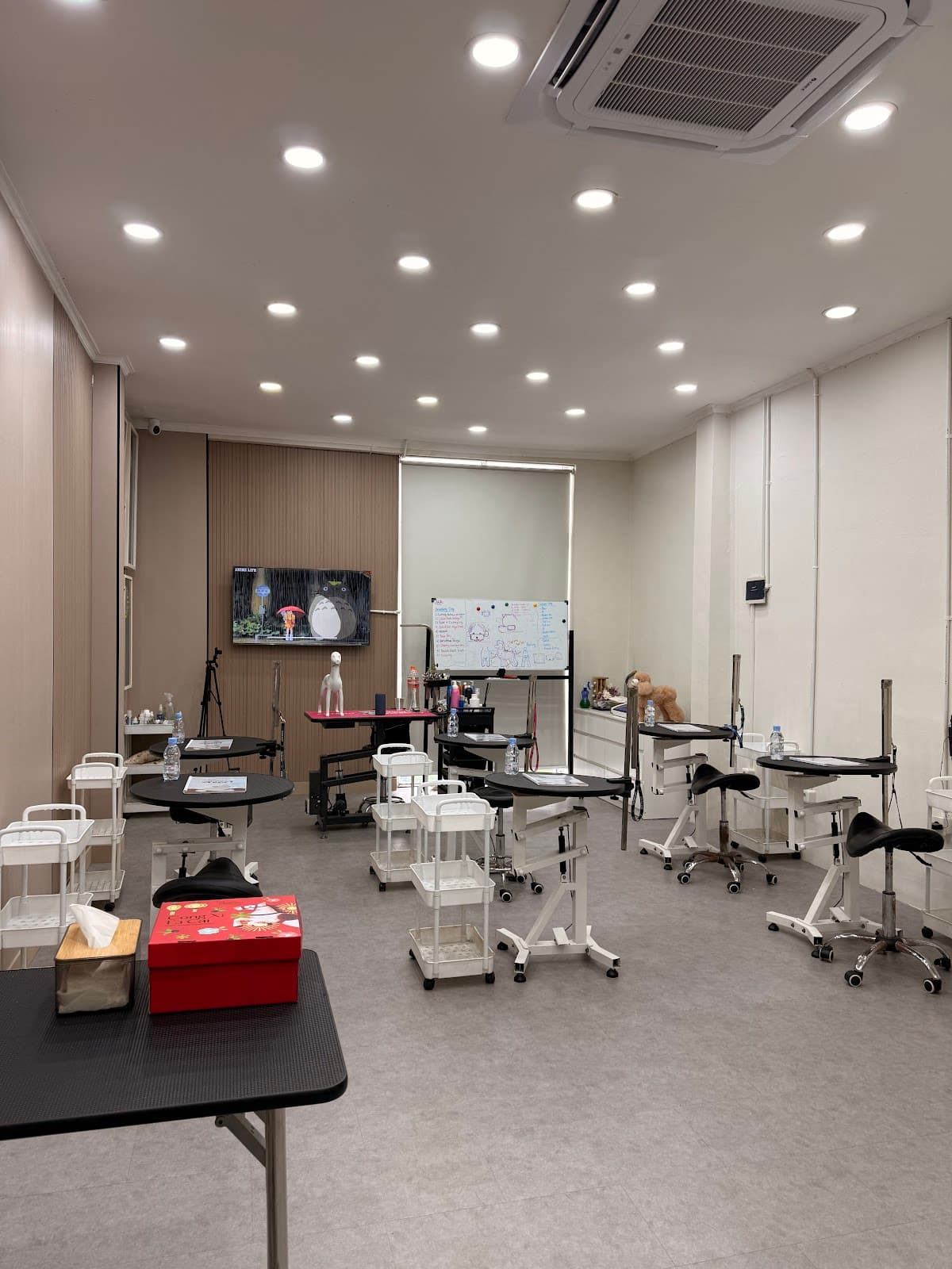 SGA offline classroom